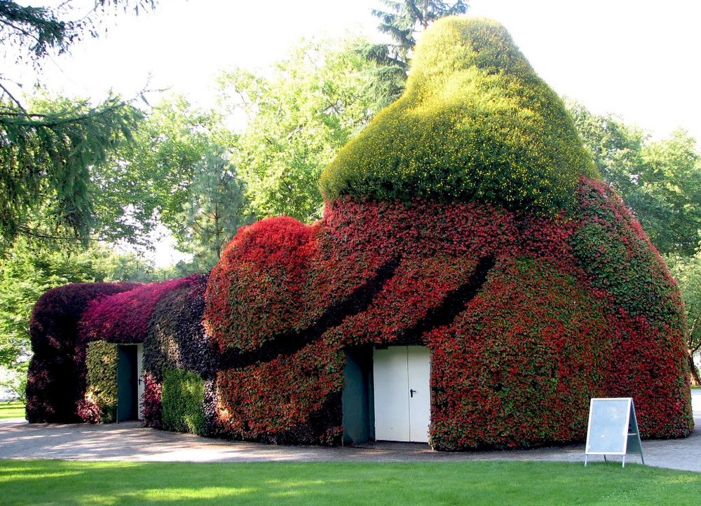 Wortwörtlich ein Haus im Grünen