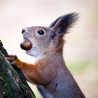 User Profile Photo
