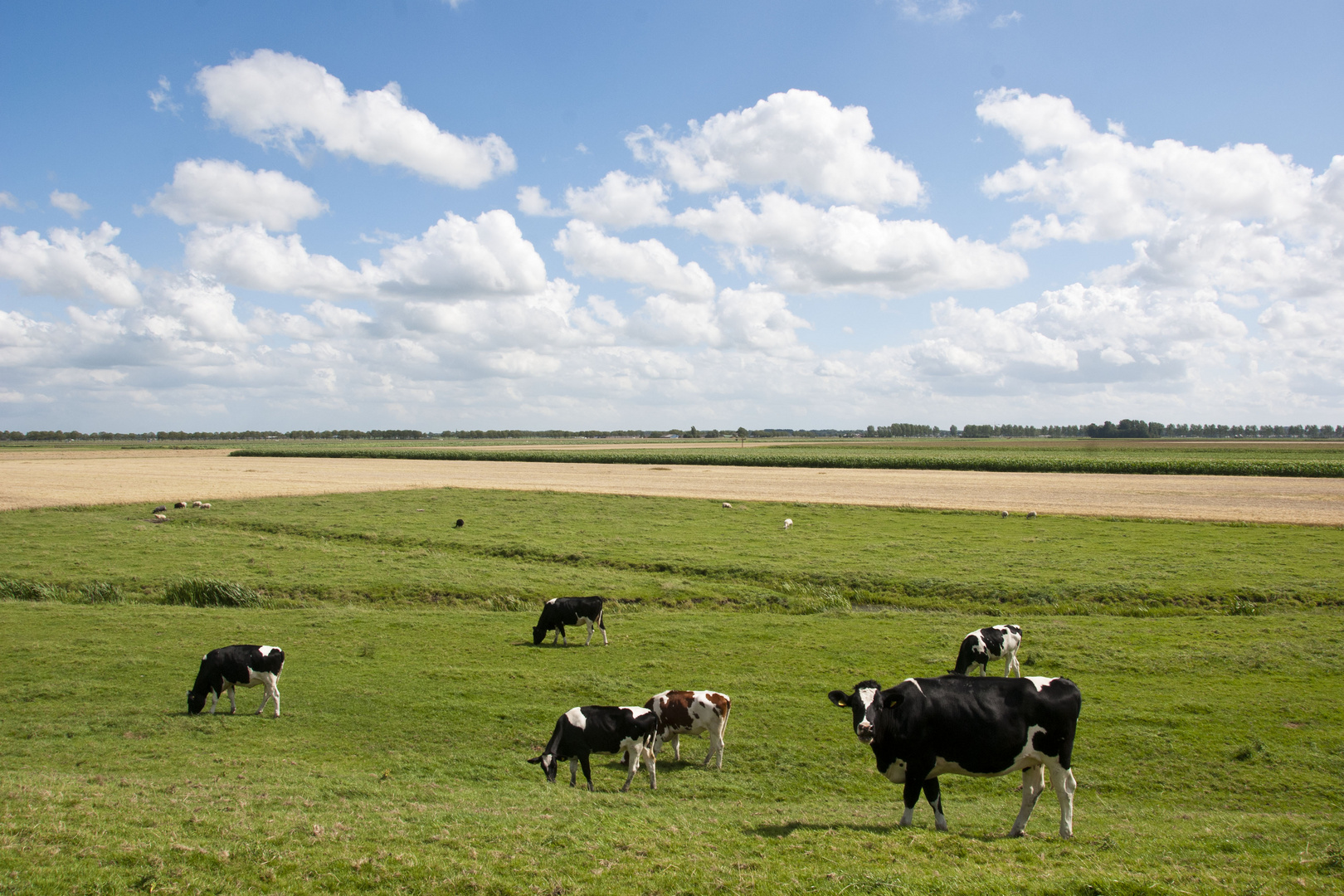 Woubrugge - Bossang Hosangweg -1