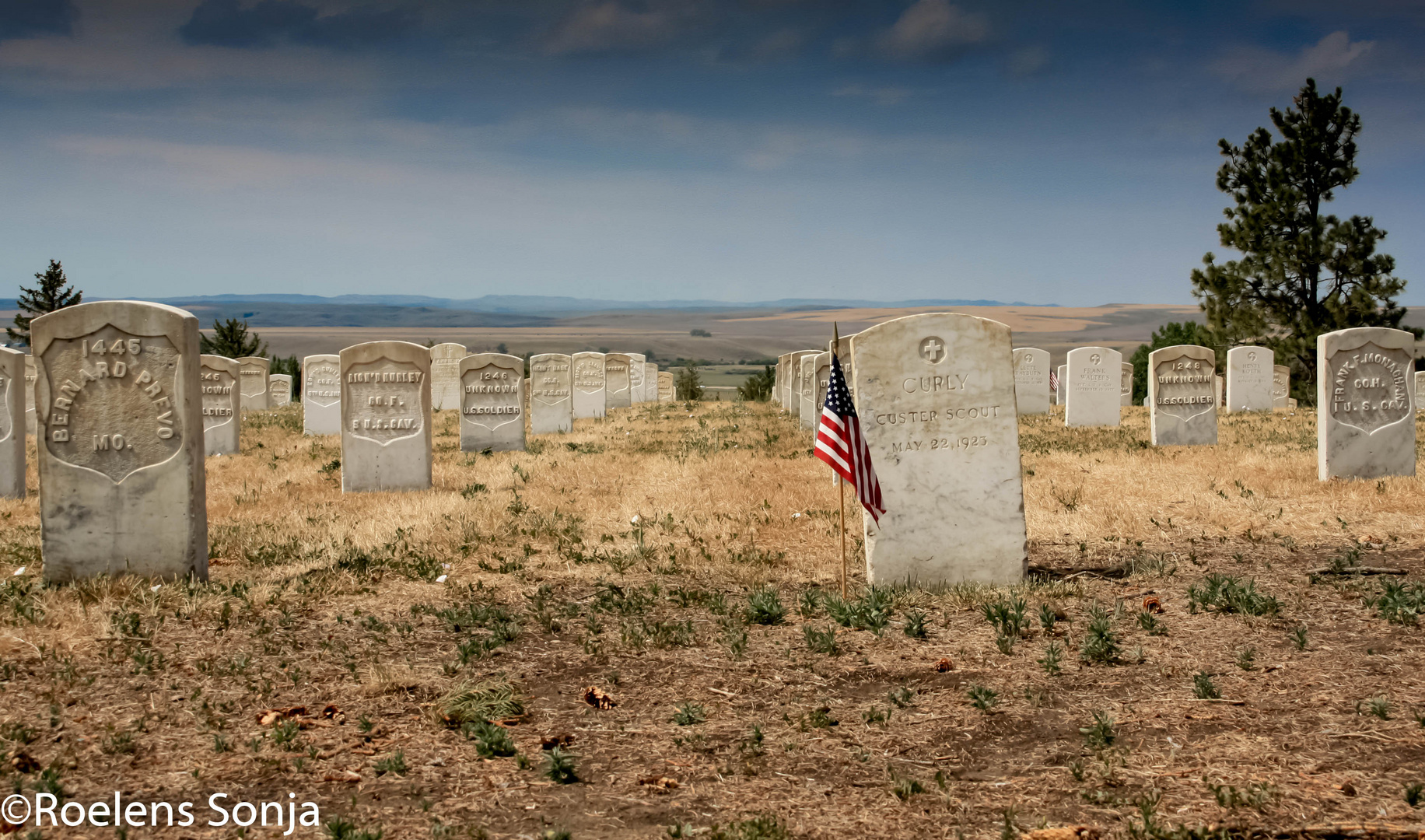 wounded knee