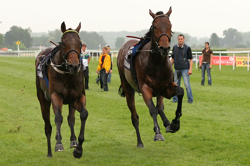 Wozu braucht man Jockeys ?