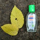 Wozu Desinfektionsmittel im Wald?