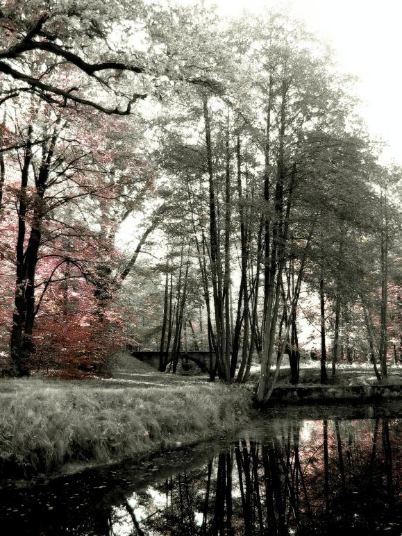 Wozu die Brücke breiter als der Fluss?