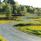 Wozu gerade Straßen? (Waldviertel - Österreich)