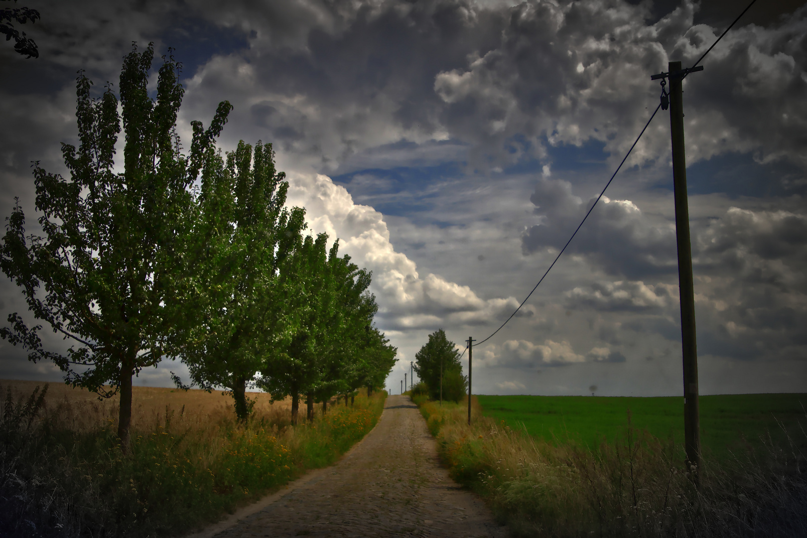 Wozu ist die Straße da... ?