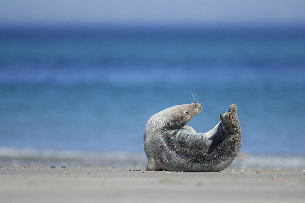 Wozu Mach Ich Mir Hier Den Rucken Krumm Foto Bild Tiere Wildlife Saugetiere Bilder Auf Fotocommunity