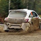 WP 8 - Lausitz-Rallye 2009