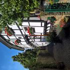 WP_20160712_09_16_10_Rich