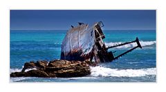 Wrack am Cape Agulhas