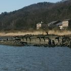 Wrack am Falkensteiner Ufer