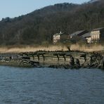 Wrack am Falkensteiner Ufer