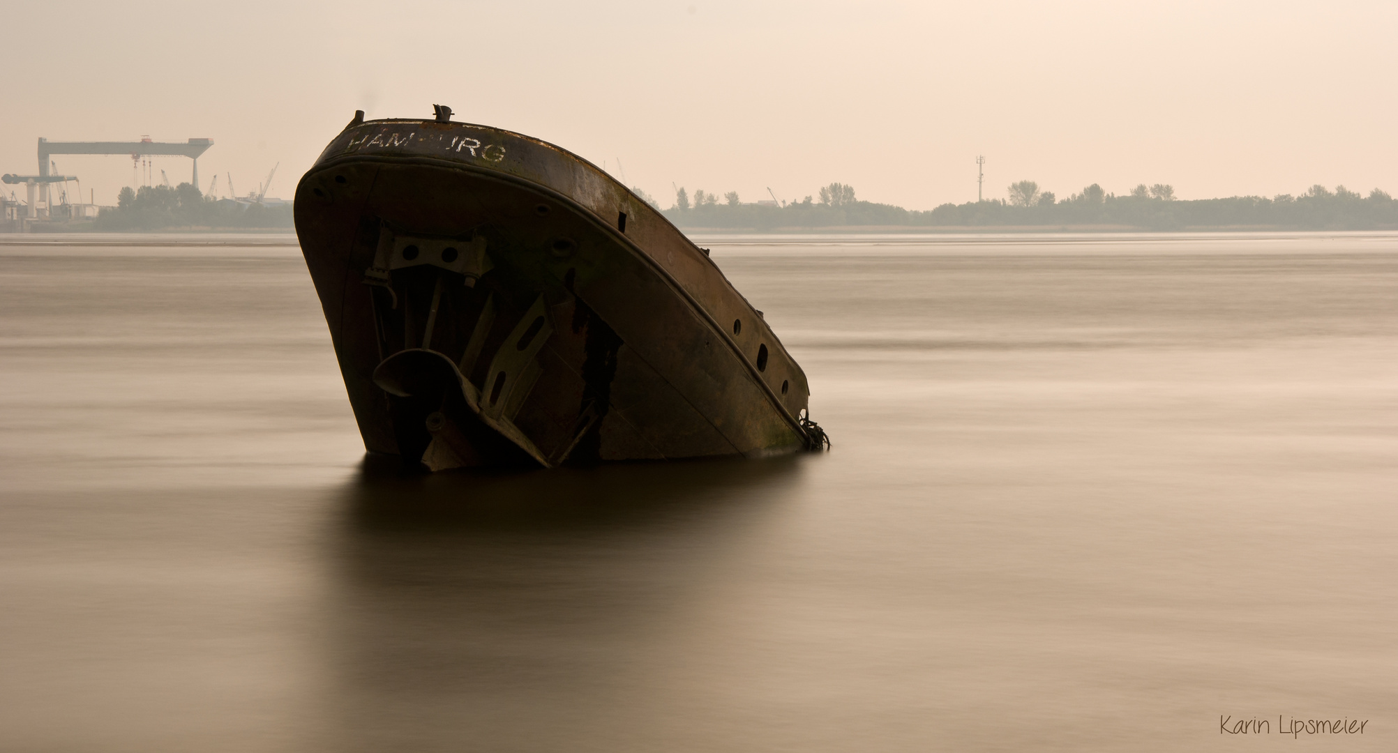 Wrack am Falkensteiner Ufer