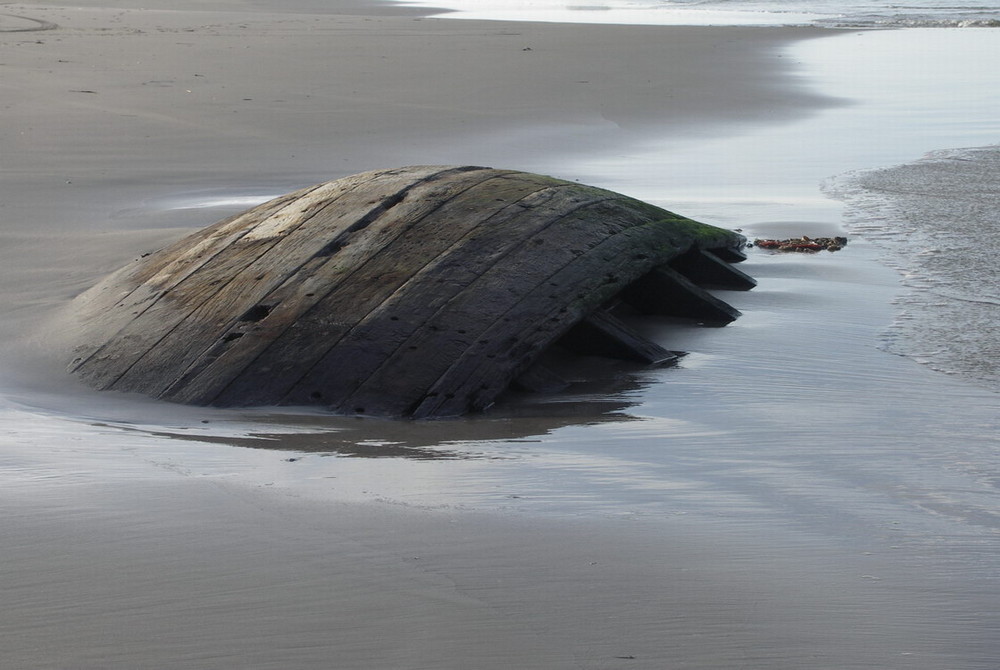 Wrack am Meer