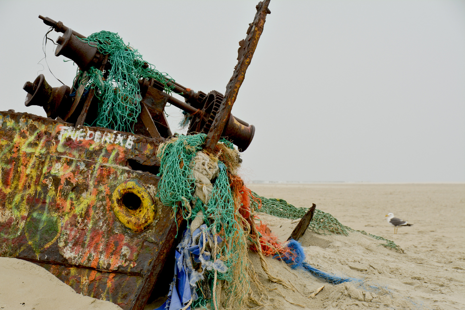 Wrack am Ostenend von Norderney