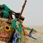 Wrack am Ostenend von Norderney