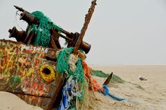 Wrack am Ostenend von Norderney