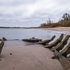 Wrack am Rhein