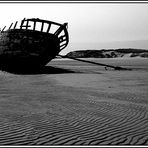 Wrack am Strand von...