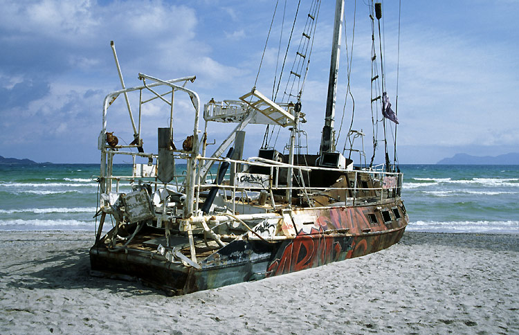 Wrack am Strand von Alcudia