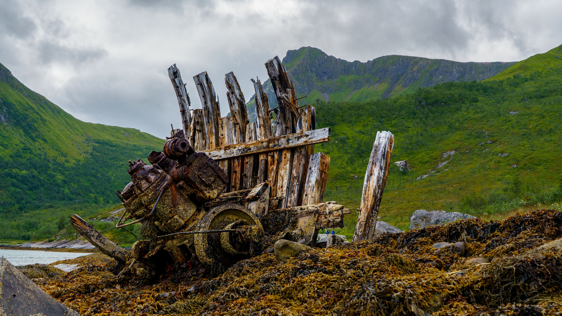 Wrack auf den Lofoten