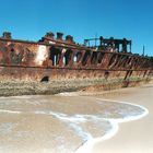 wrack auf fraser island