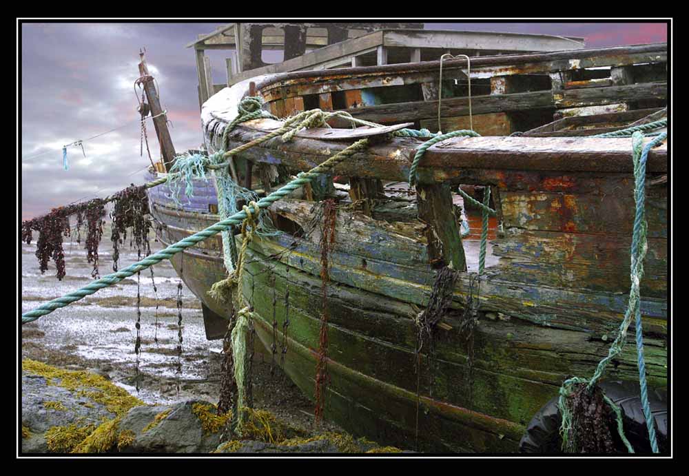 Wrack auf Mull | Hull on Mull