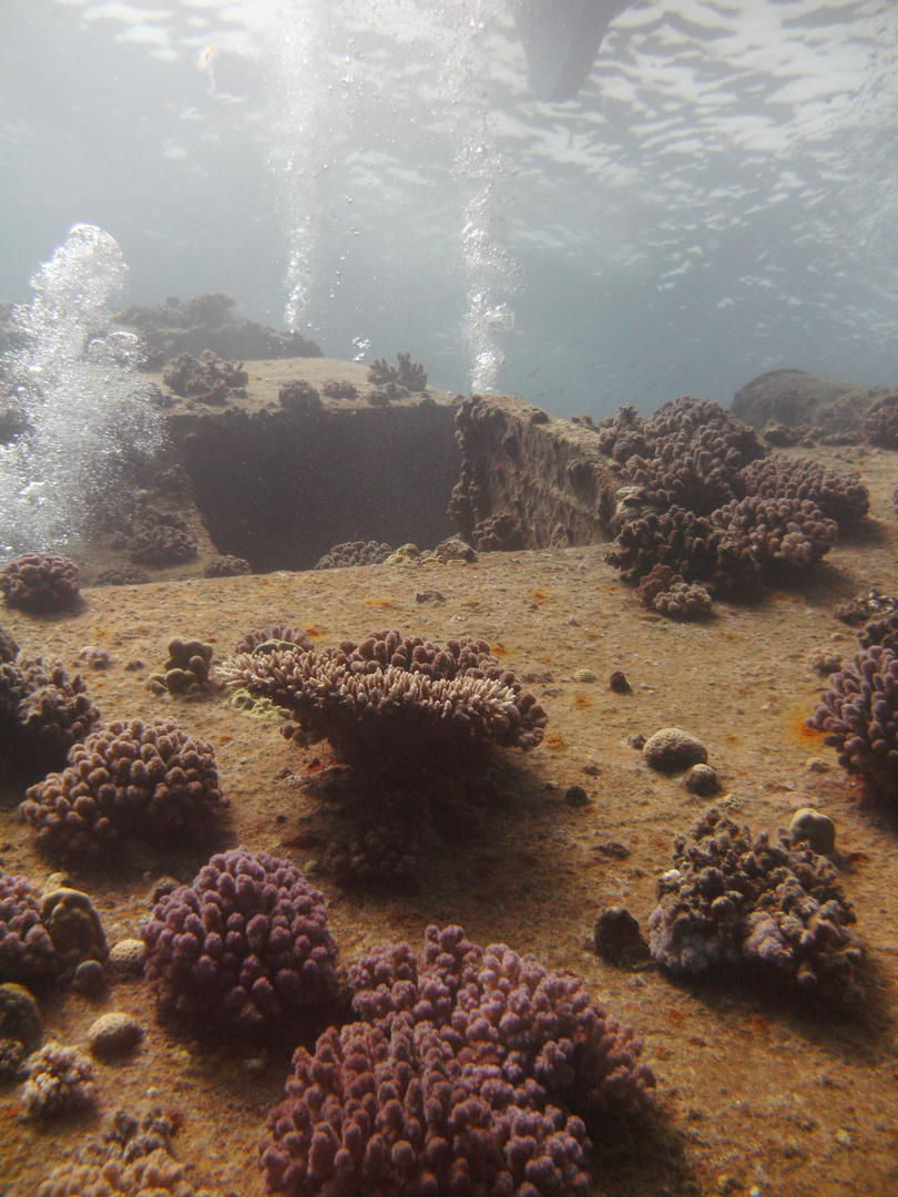 Wrack bei El Gouna