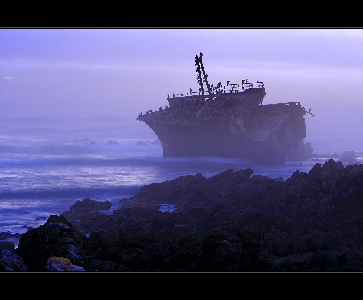 ---Wrack Cape Agulhas---