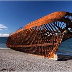 Wrack der Ambassador, San Gregorio, Patagonien