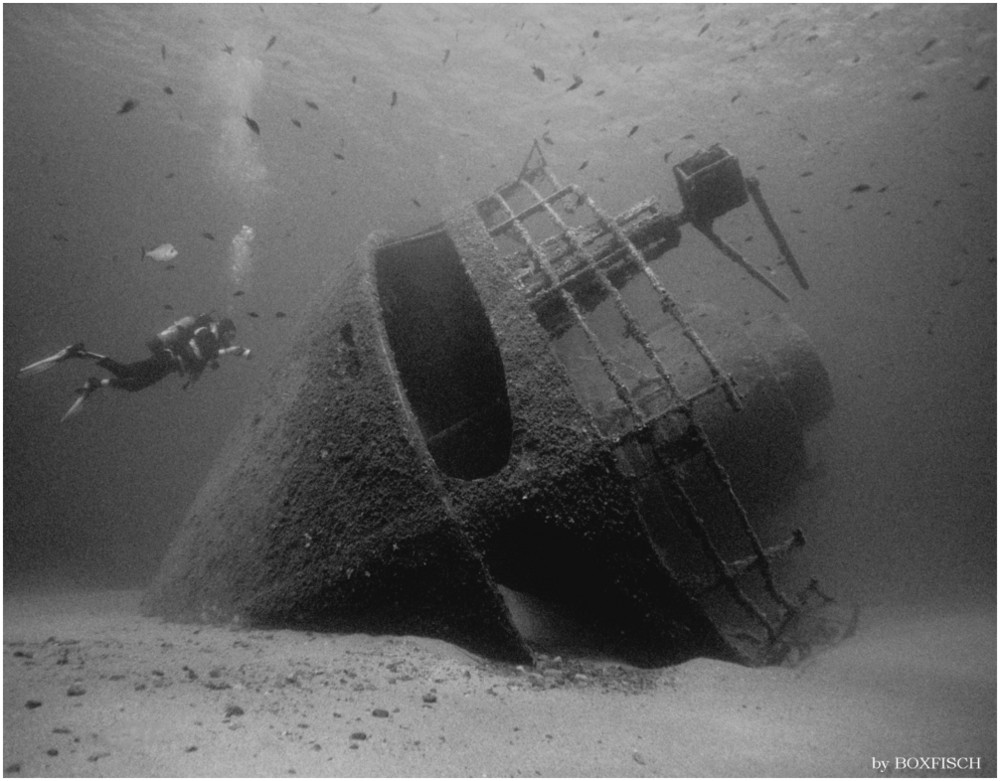 Wrack ELVISCOTT Elba / Italien