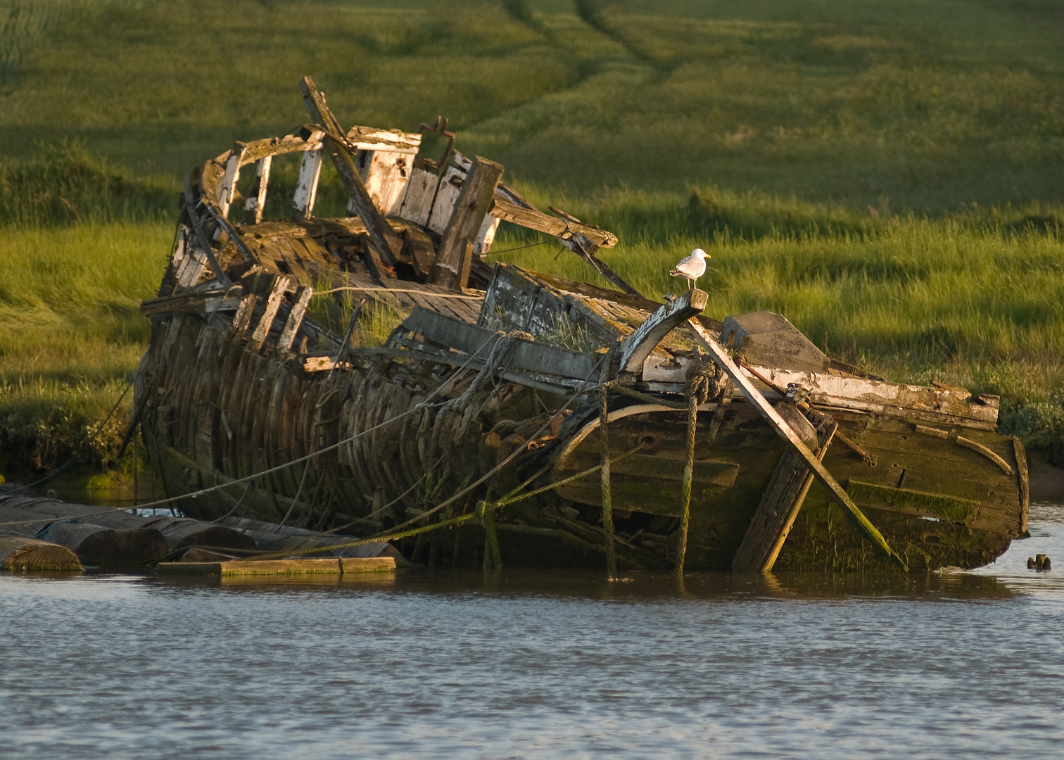 Wrack im Abendlicht