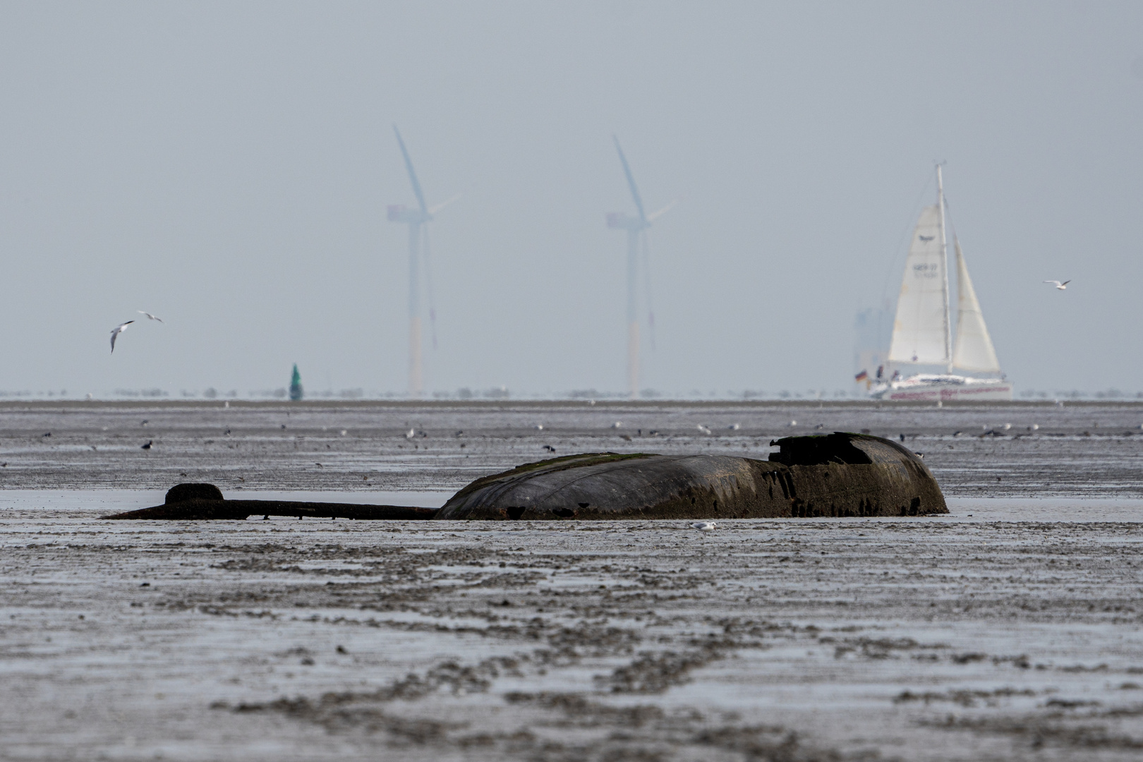 Wrack im Watt vor Schillig