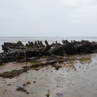 Wrack im Wattenmeer