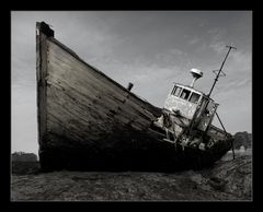 Wrack in der Bretagne