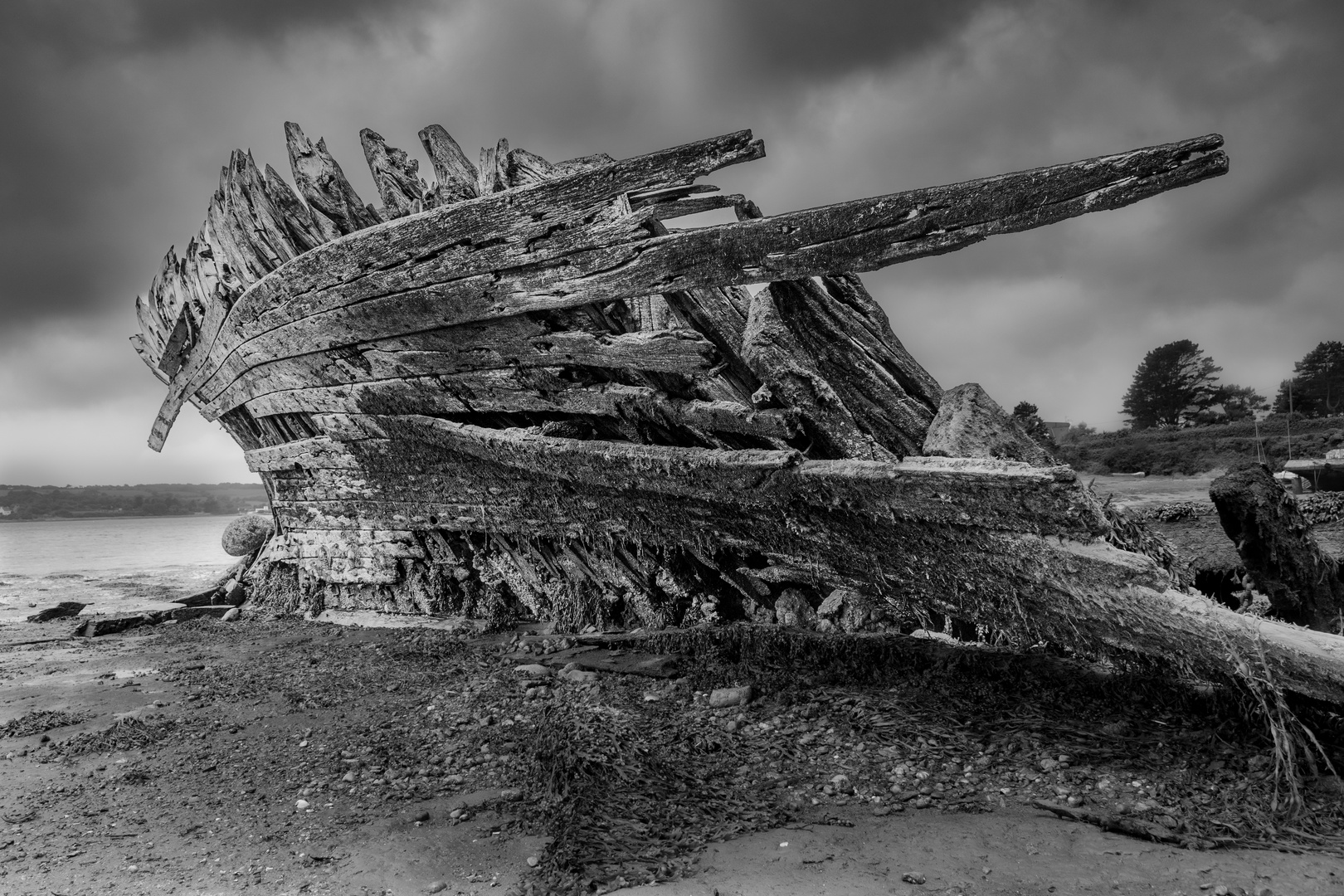 Wrack in der Bucht von Rostellec