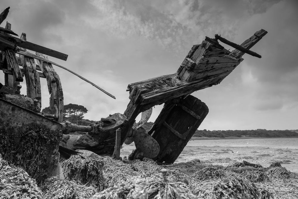 Wrack in der Bucht von Rostellec