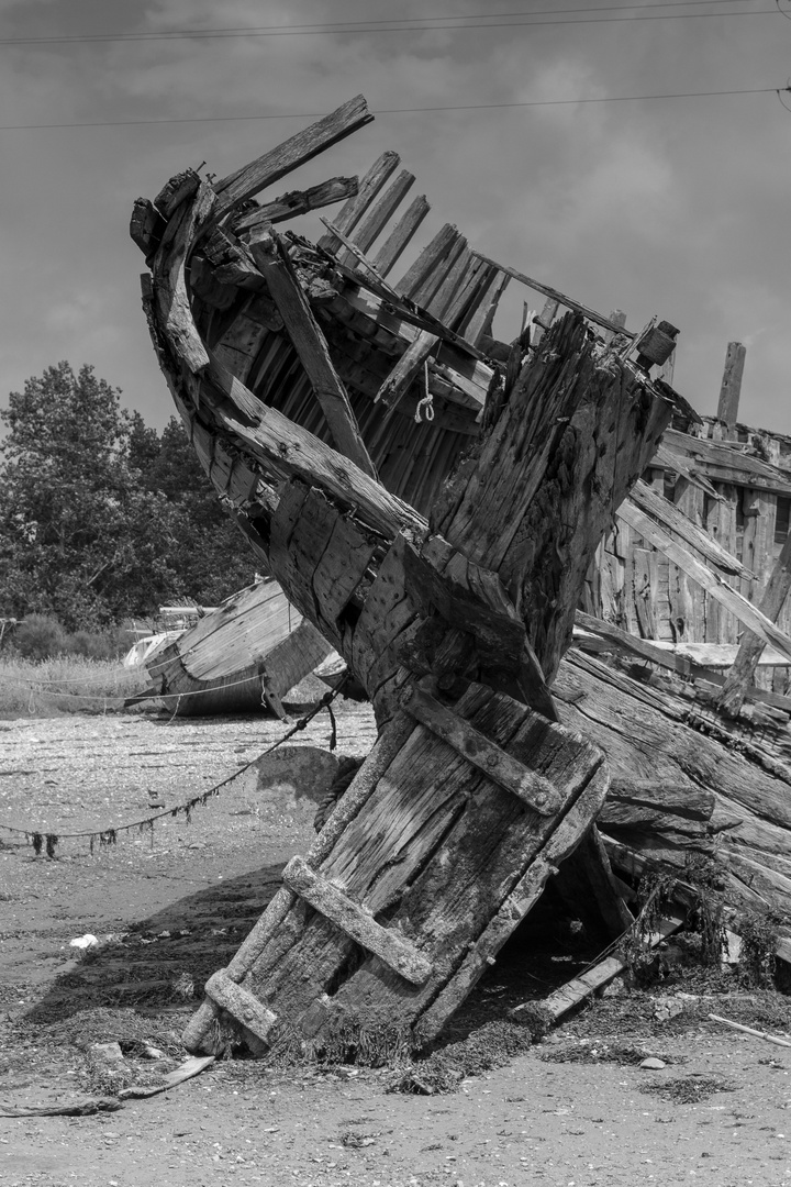 Wrack in der Bucht von Rostellec