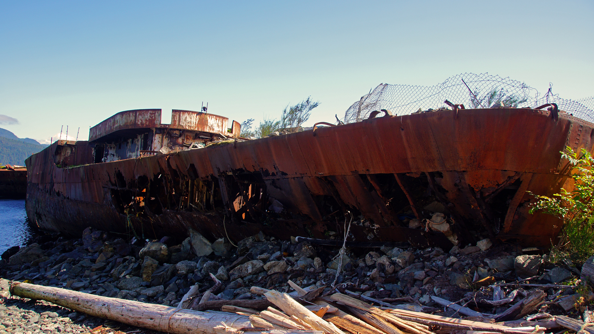 Wrack in Sayward