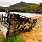 Wrack in Talmine / Schottland