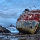 Wrack in Tasiilaq