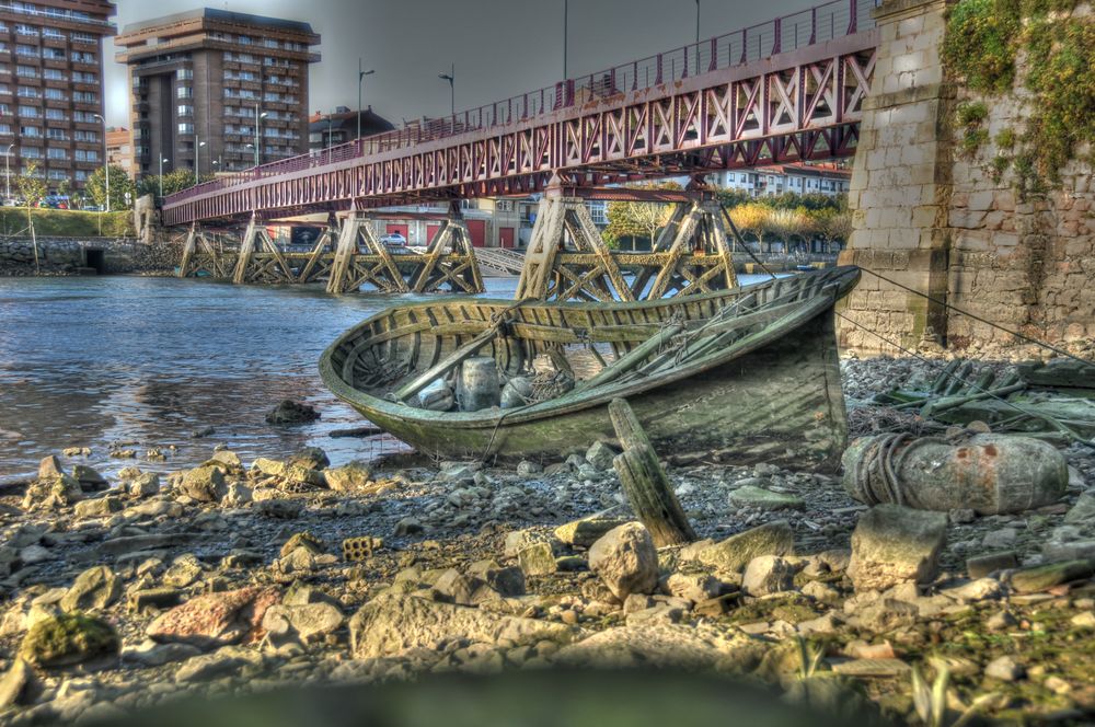 Wrack in Zumaia