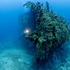 Wrack "Jado Trader" auf Guanaja (Honduras)