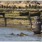 Wrack vor Blankenese