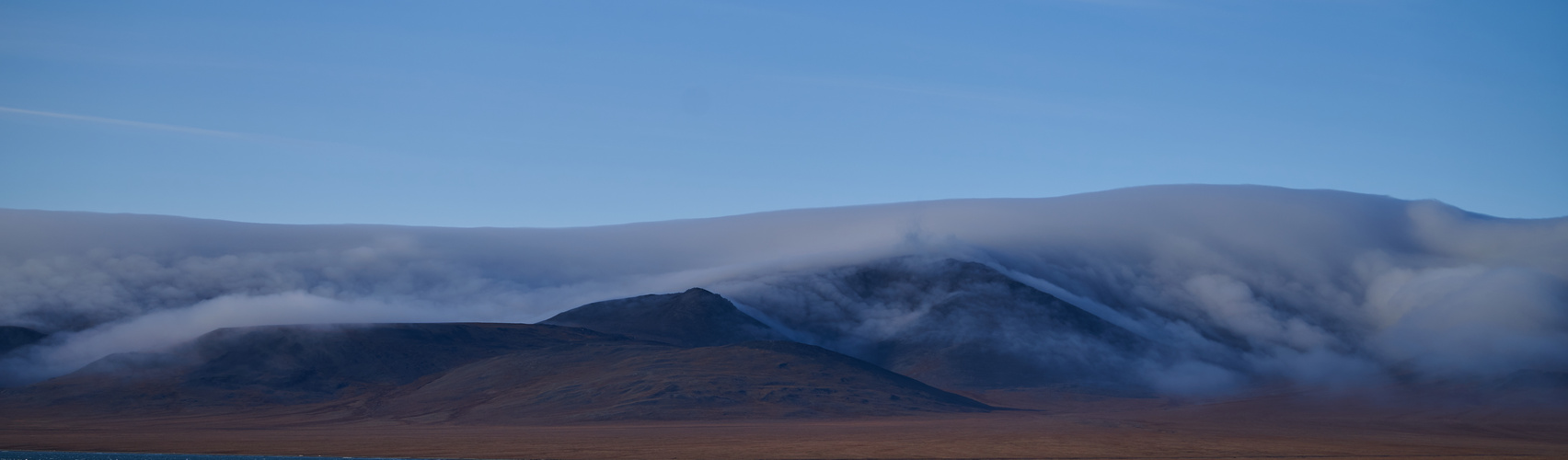 wrangel island 