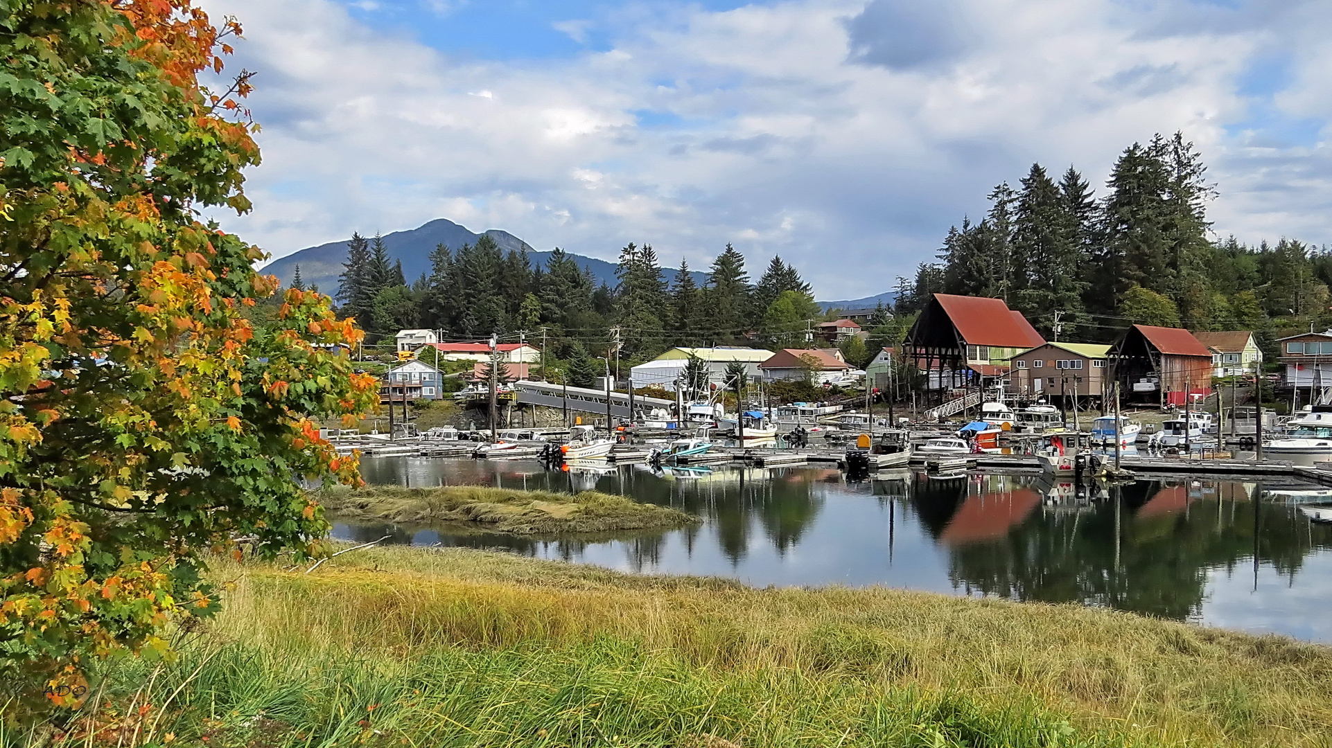 Wrangell in the Sunshine