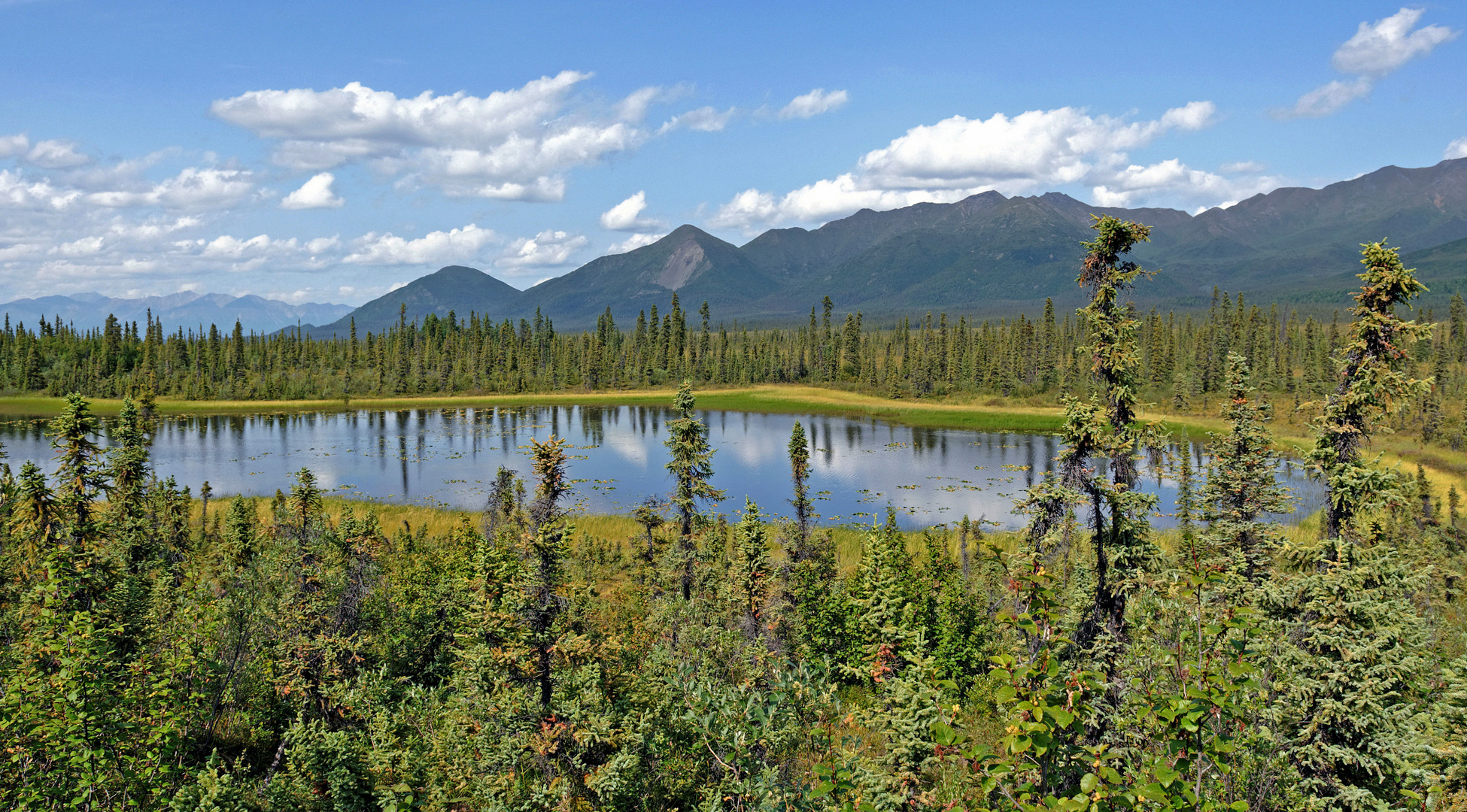 Wrangell St. Elias National Park