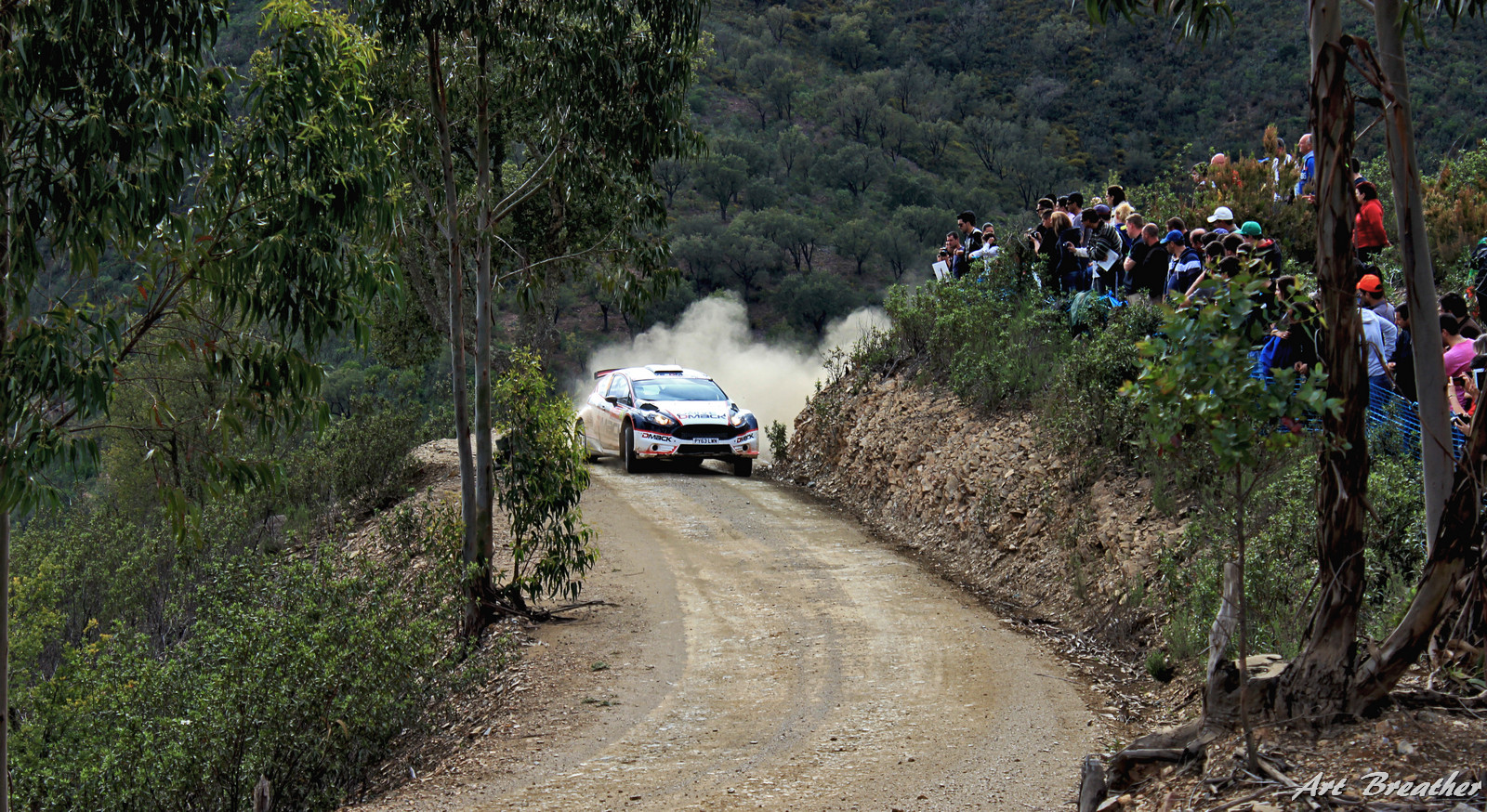 WRC - 2014