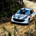 WRC - 2014 Portugal - Algarve