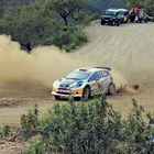 WRC - 2014 Portugal