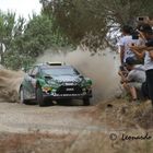 .WRC 2015